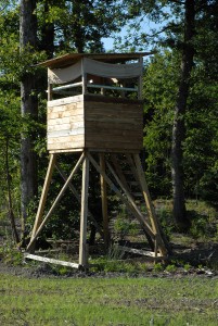 Miradors (15)